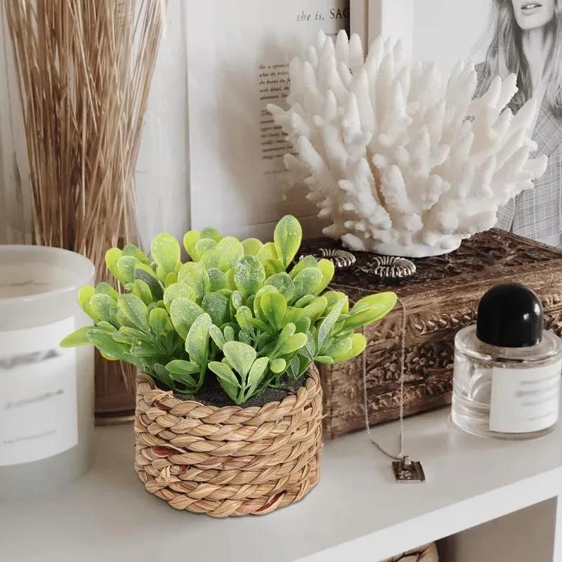 1Pc Potted Plant Small Fake Pl - Home Office Layout 评论和价格